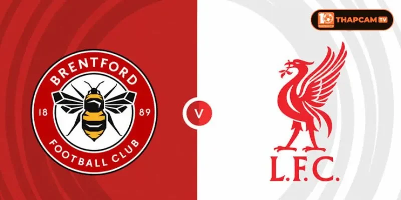 Đội hình của Brentford vs Liverpool sẽ khuyết thiếu một vài vị trí song đã có sự bổ sung.