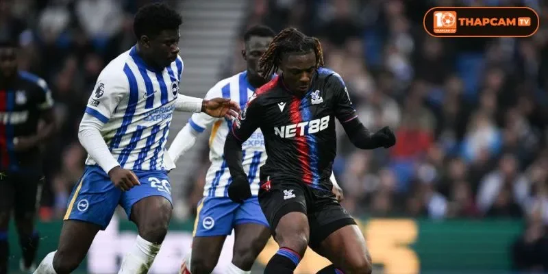 Đội hình của Brighton & Hove Albion vs Crystal Palace rất sẵn sàng cho trận đấu vòng 7.