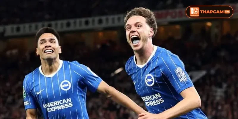 Brighton & Hove Albion chắc chắn sẽ tận dụng tối đa lợi thế sân nhà để ăn trọn 3 điểm.