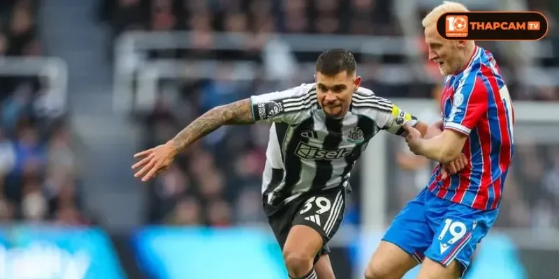 Crystal Palace dù có lợi thế sân nhà cũng khó có cửa thắng.
