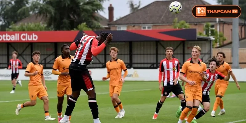 Đội hình của Hull City vs Brentford rất sẵn sàng cho trận đấu vòng 8.