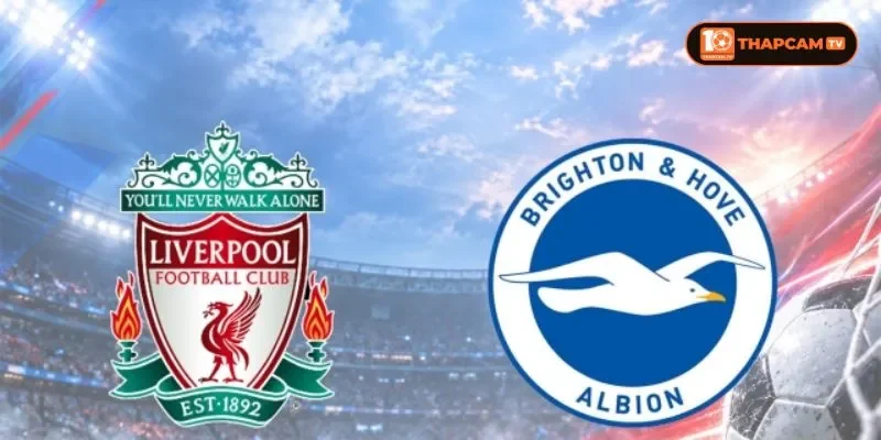Lịch sử đối đầu giữa Liverpool vs Brighton & Hove Albion nghiêng hẳn về Liverpool.