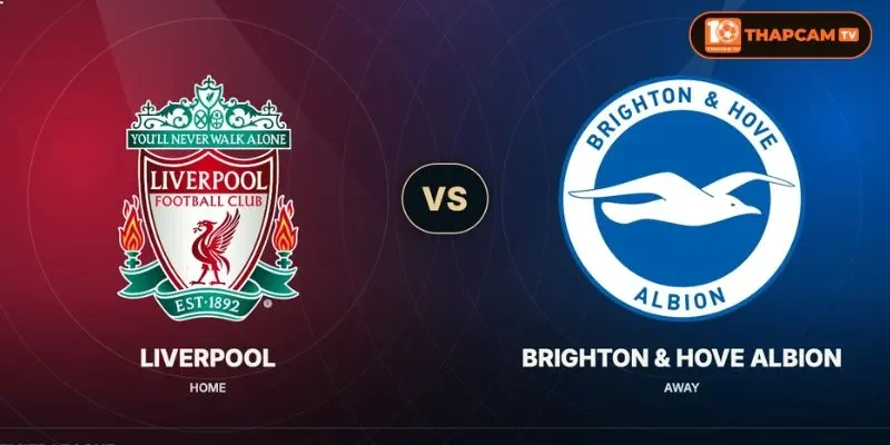 Soi kèo nhà cái Liverpool vs Brighton & Hove Albion là kèo đấu vòng 8 với nhiều mong đợi.