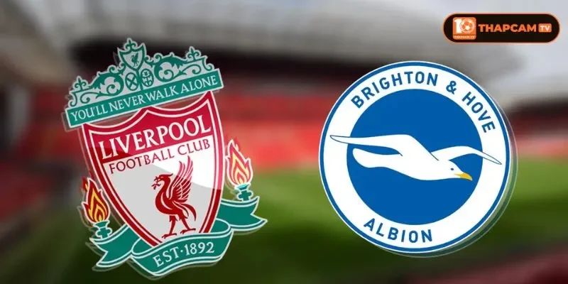 Đội hình của Liverpool vs Brighton & Hove Albion rất sẵn sàng cho trận đấu vòng 8.