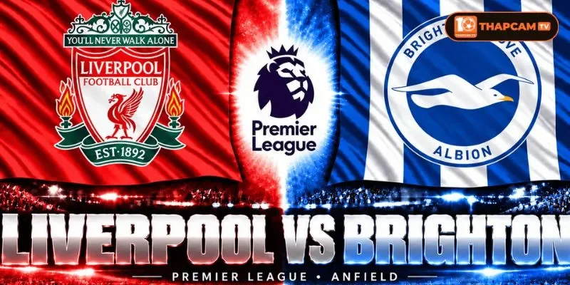 Soi kèo nhà cái Liverpool vs Brighton & Hove Albion từ ThapCam TIVI hé lộ nhiều thông tin thú vị.