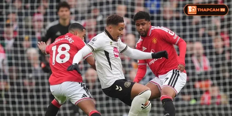 Đội hình của Manchester United vs Bournemouth rất sẵn sàng cho trận đấu vòng 8.