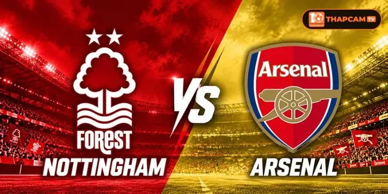 Soi kèo nhà cái Nottingham Forest vs Arsenal từ ThapCam TIVI hé lộ nhiều thông tin thú vị.