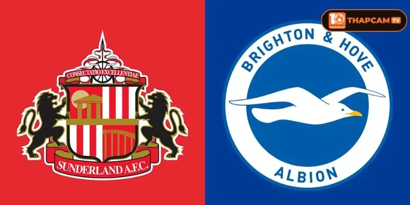 Soi kèo nhà cái Sunderland vs Brighton & Hove Albion là kèo đấu vòng 6 với nhiều mong đợi.